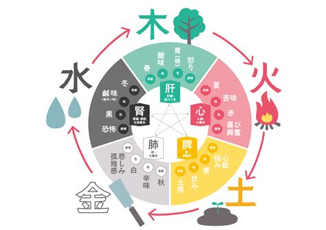 陰土命|陰陽五行と四柱推命の関係を徹底解説！五行説であなたの性格を。